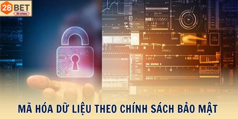 Mã hóa dữ liệu theo chính sách bảo mật 
