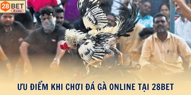 Ưu điểm khi chơi đá gà online tại 28BET