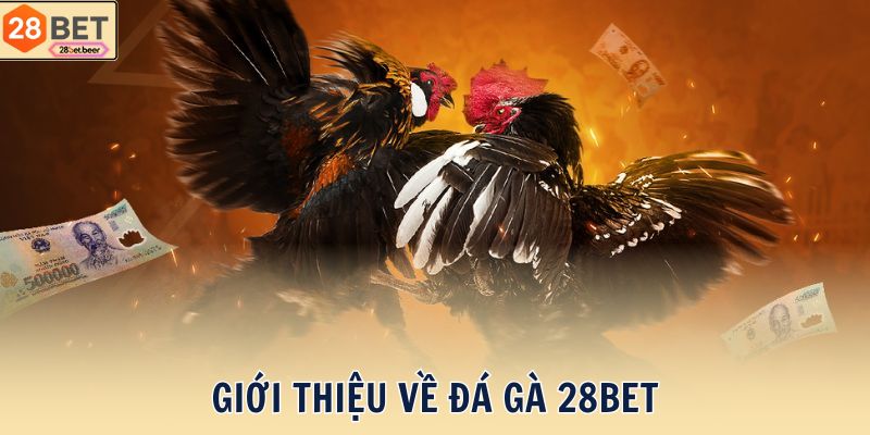 Giới thiệu về Đá gà 28BET