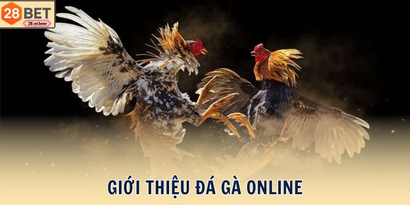 Giới thiệu Đá gà online