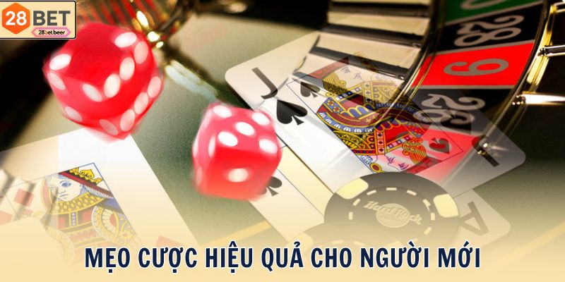 Mẹo Cược Hiệu Quả Cho Người Mới