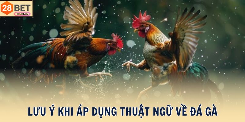 Lưu ý khi áp dụng thuật ngữ về đá gà